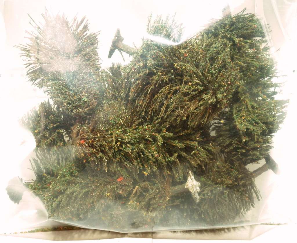 SCENERY OO: 9pc Mixed Trees in Fair Used and  Un-boxed condition