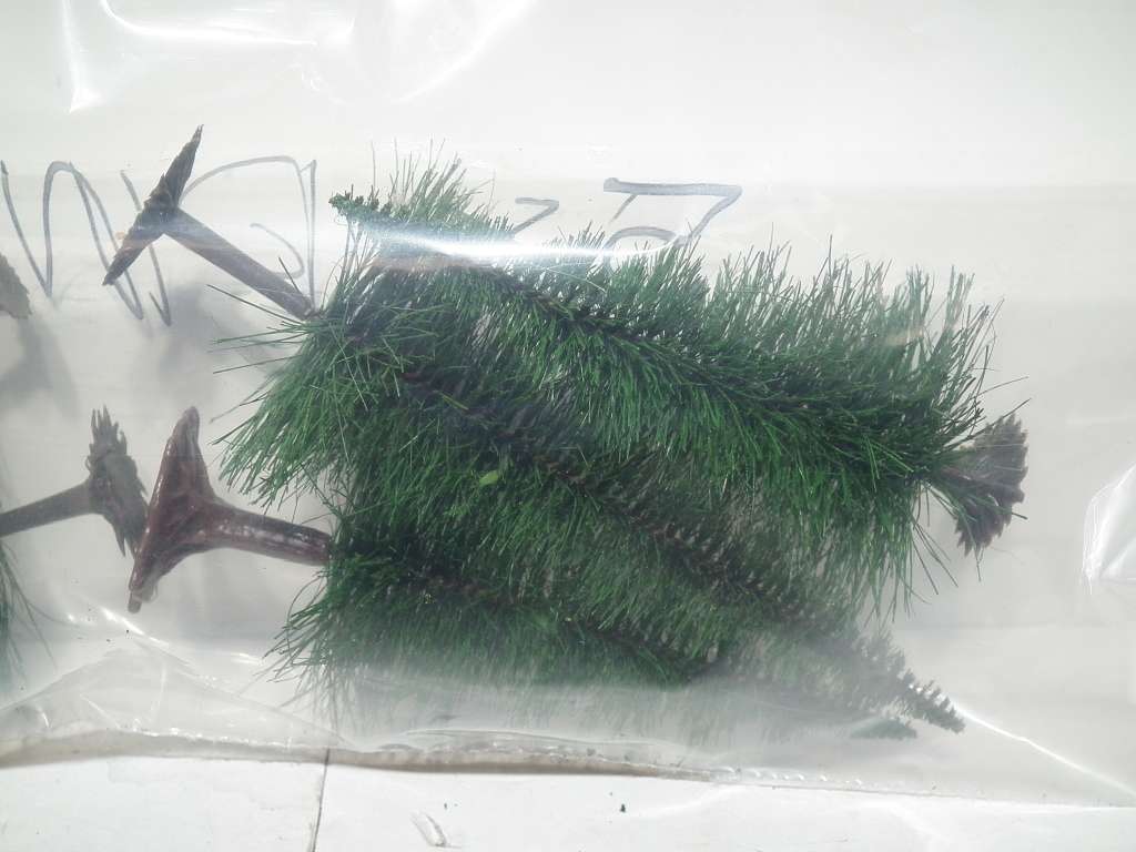 SCENERY HO: 5pc Pine Two Tone Pine Trees in Good Bagged and used Condition
