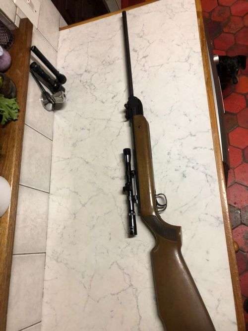 Pellet rifle