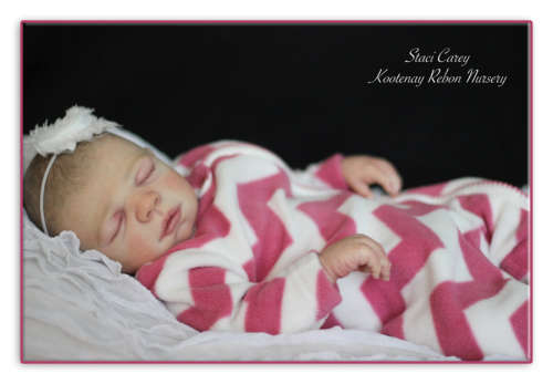 Clearance SALE R500- Reborn unpainted Baby doll kit,Daisy