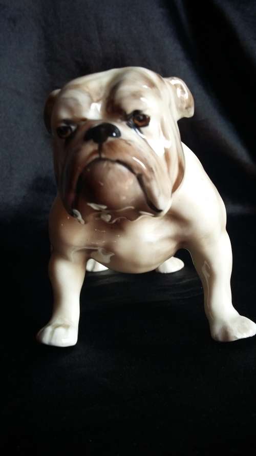 RARE ROYAL DOULTON BULL-DOG WITH MAKERS MARK