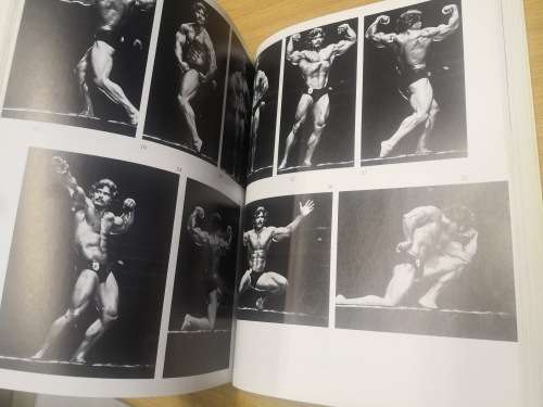 Arnold Schwarzenegger The New Encyclopedia of Modern Bodybuilding