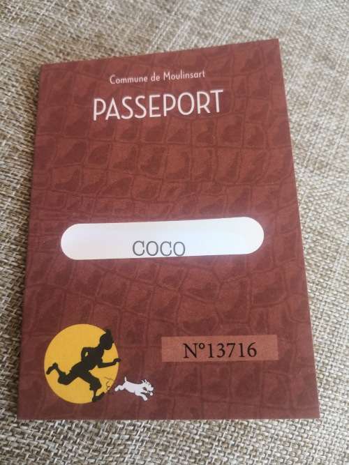 Tintin In The Congo - Coco figurine