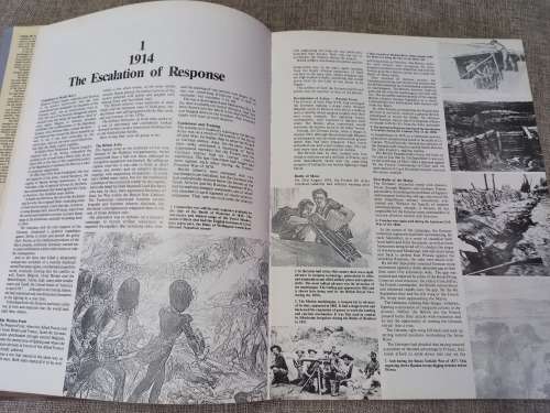 Taming the Landmine - Peter Stiff