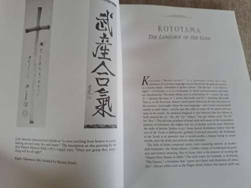 The Secrets of Aikido - John Stevens