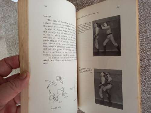 Dragons Touch - weakness of the  Human Anatomy - Master Hei Long