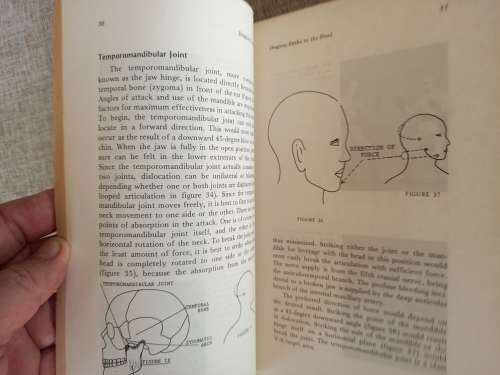 Dragons Touch - weakness of the  Human Anatomy - Master Hei Long