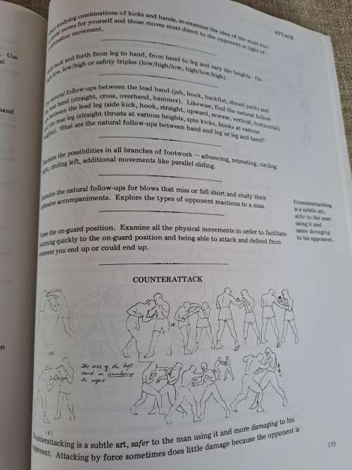 Tao of Jeet Kune Do - Brue Lee