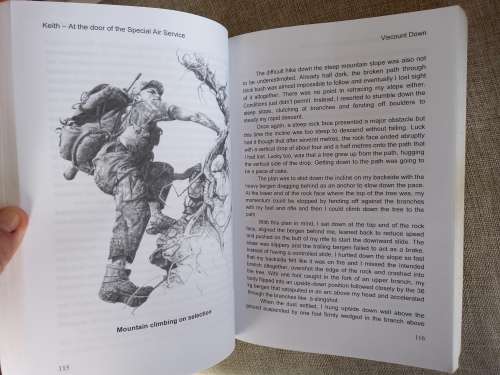 Viscount Down - the complete story of the Rhodesian Viscount disasters as told by an SAS operator -
