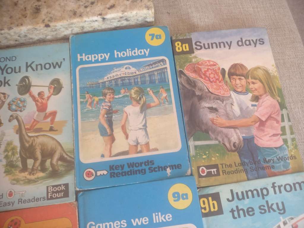 Ladybird book collection x 22 - educational