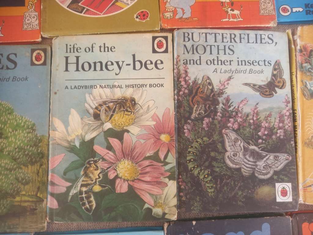 Ladybird book collection x 22 - educational