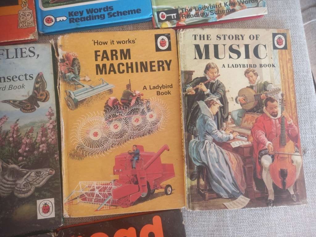 Ladybird book collection x 22 - educational