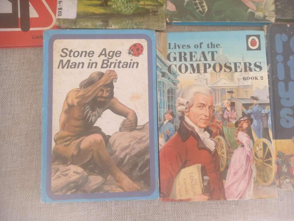 Ladybird book collection x 22 - educational