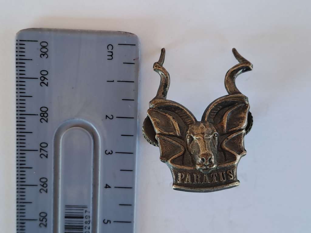 South West Africa Territorial Force (SWATF) Area Force Cap Badge