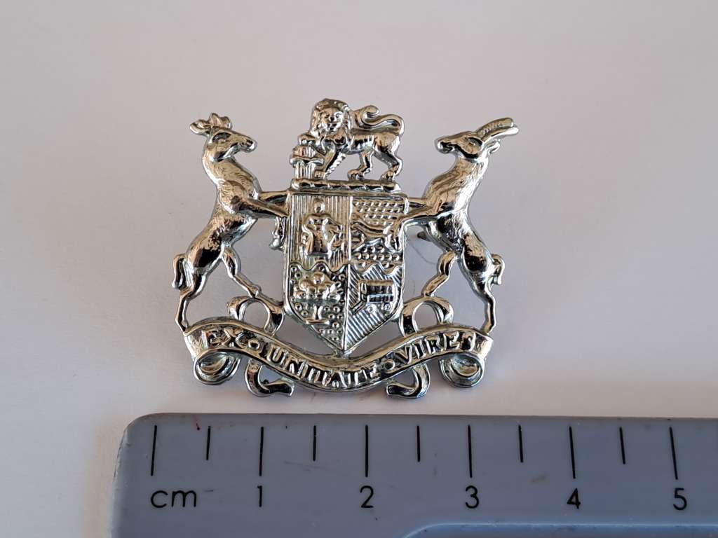 South African Defence Force SADF Warrant Officer Class 2 Chrome Rank Badge
