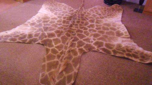 Giraffe skin mat (genuine)
