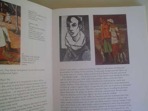 The Story of South African Painting - Berman