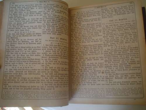 Antique Große Haus-Bilder-Bibel Bible Bijbel Bybel