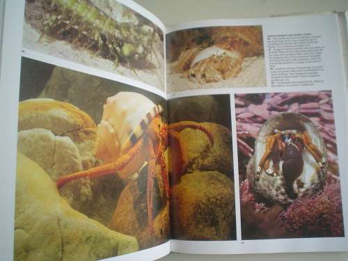 MARGO & GEORGE BRANCH The Livings Shores of Southern Africa