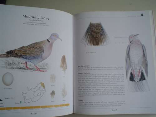 AGRED'S GAMEBIRDS OF SOUTH AFRICA. Field Identification and Management. PJ Viljoen