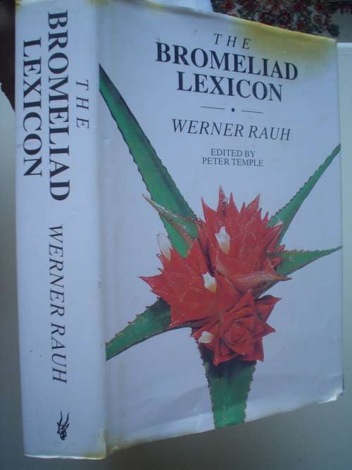 The Bromeliad Lexicon - Rauh