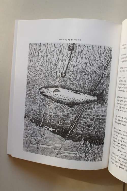 Valley of the Eland - Fey