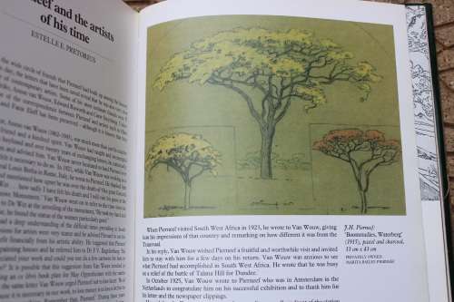 J H Pierneef - His Life and Work - Nel