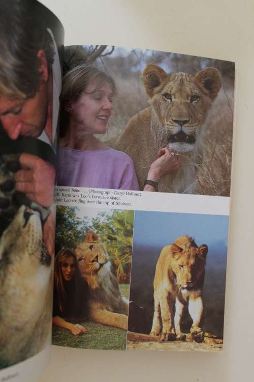 All things wild and wonderful - Kobie Kruger