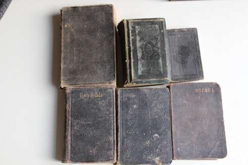 10 x Bible Bibel Bijbel Bybel