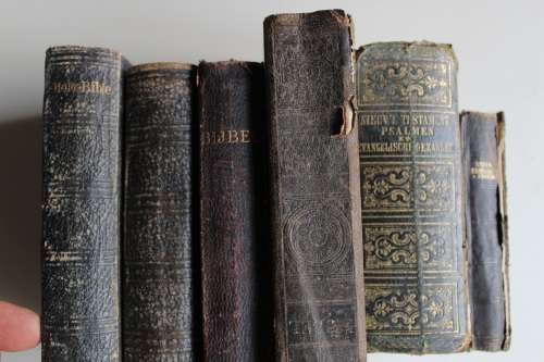 10 x Bible Bibel Bijbel Bybel