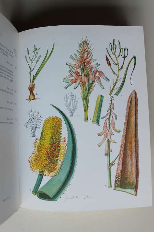 Wild Flowers of Natal (Coastal Region) -Janet Gibson