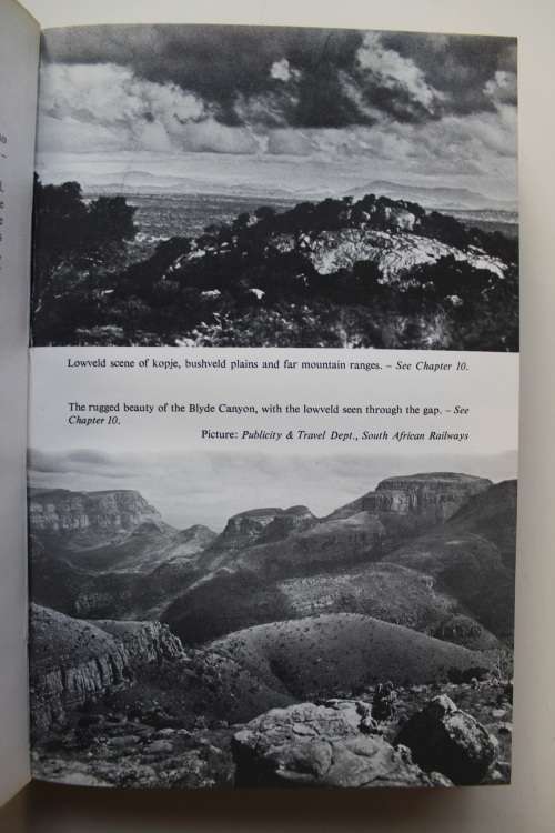 Valley of the Mists - Harry Klein