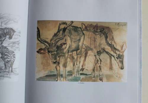 Timeless Encounters. Fritz Krampe, a painters life in Africa, -  Peter Strack