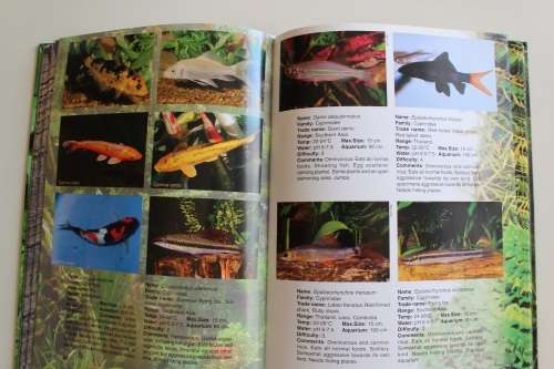 Back-to-Nature Aquarium guide -   Kjell Fohrman