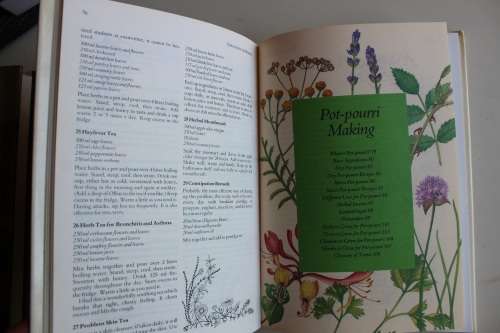 Treasury of Herbs - Margaret Roberts