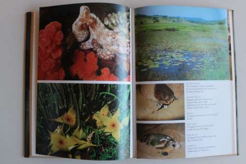 Paradise Under Pressure -   Alan Mountain