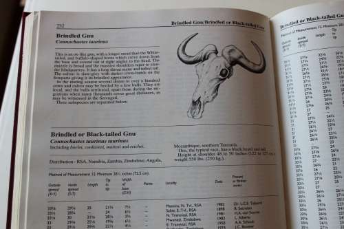 NUMBERED: Records of Big Game - Rowland Ward - Edition XXIV 1995