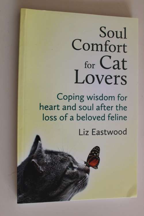 Soul comfort for cat lovers - Eastwood