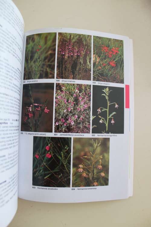 Field guide Wild Flowers of the Highveld - Van Wyk & Malan