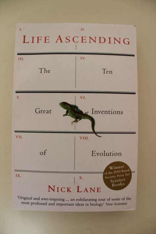 Life Ascending - Nick Lane