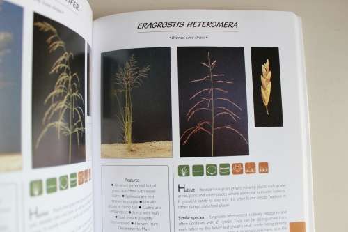 Guide to grasses of Southern Africa - Fritz van Oudtshoorn