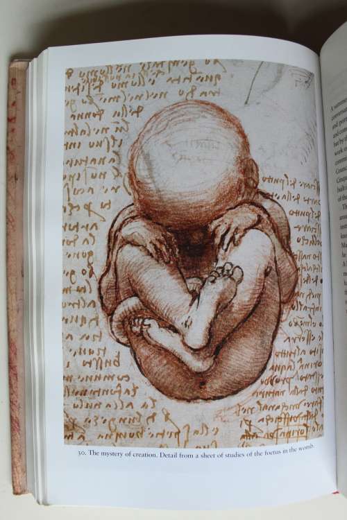 Leonardo da Vinci - The Flights of the Mind By: Charles Nicholl