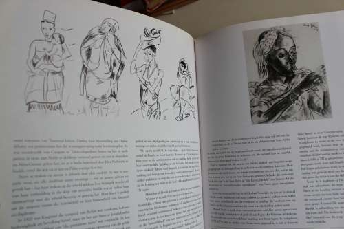 IRMA STERN. 'n Fees van Kleur