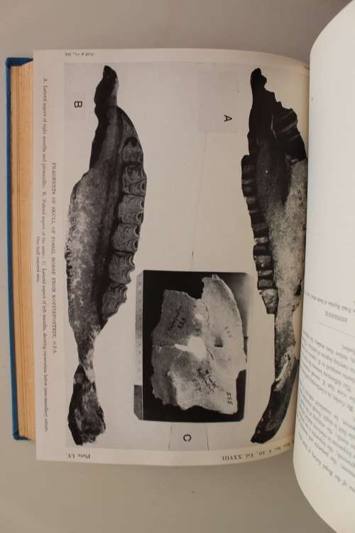 1941 Transactions of the Royal Society of South Africa - Volume XXVIII