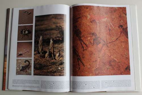 South West - Gerald Cubitt & Johann Richter