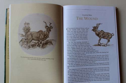 Under a Hunter's moon - Nino Burelli