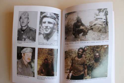 Geteken: Die Buffel Struikel - Louis Bothma