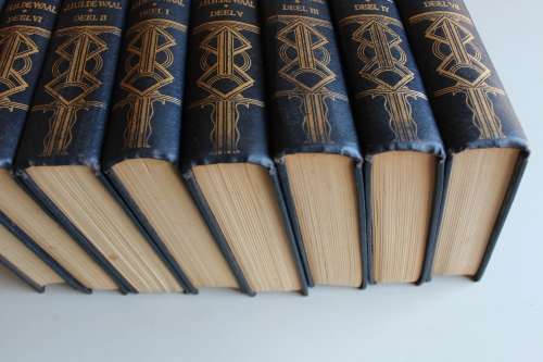 Versamelde werke JHH de Waal x 8 volumes volledig