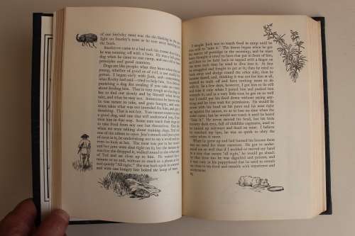 Jock of the Bushveld -- Sir Percy Fitzpatrick