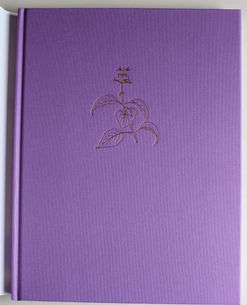 The South African Plectranthus : Ernest van Jaarsveld